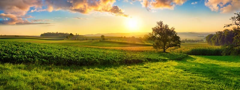 Abogado inmobiliario en A Coruña